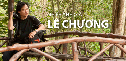 tapchihuongviet_lc