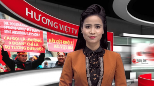 Biểu tình phản đối coi thường luật pháp quốc tế của Trung Quốc trên biển đông tại Frankfurt am Main 