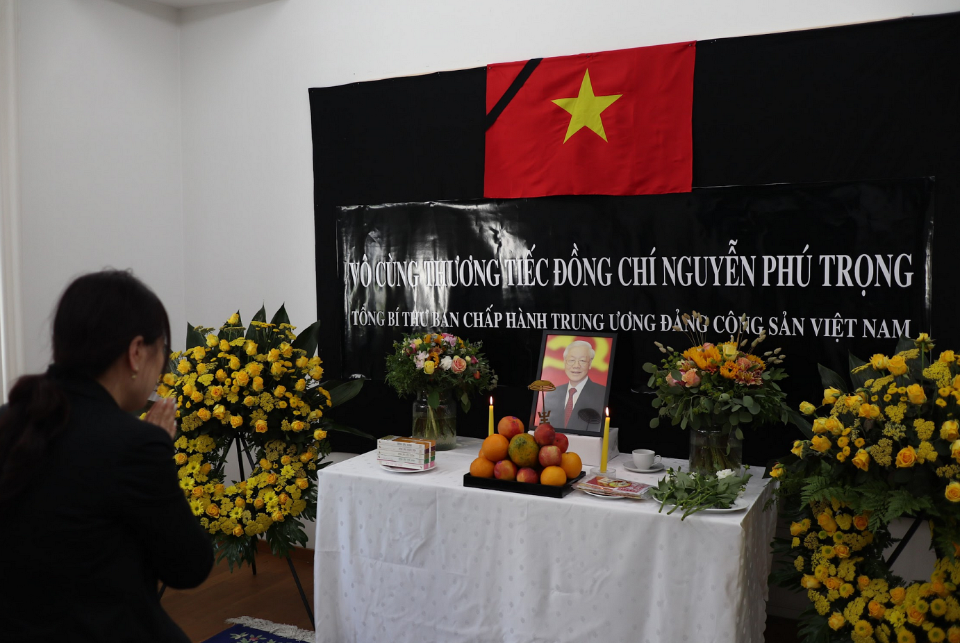 tapchihuongviet tbt npt1